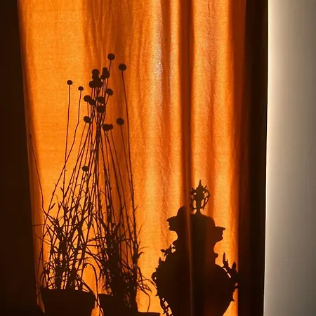 Frühstückspension 't Koffer