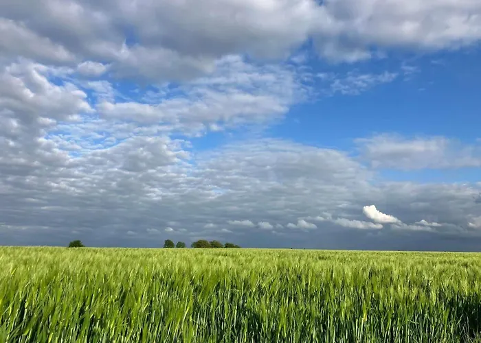 B&B 't Koffer 아이스덴